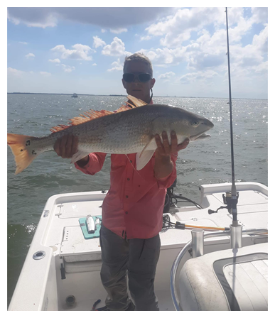 Black Drum | Breakwater Fishing Charter